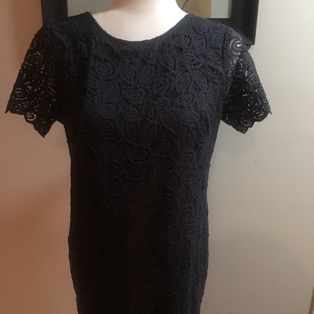 Ann Taylor lace dress